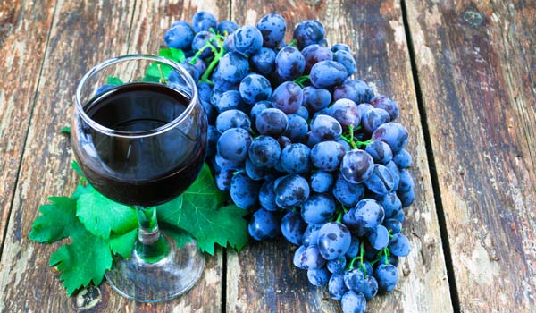 A wine tour to famous nearby traditional wineries